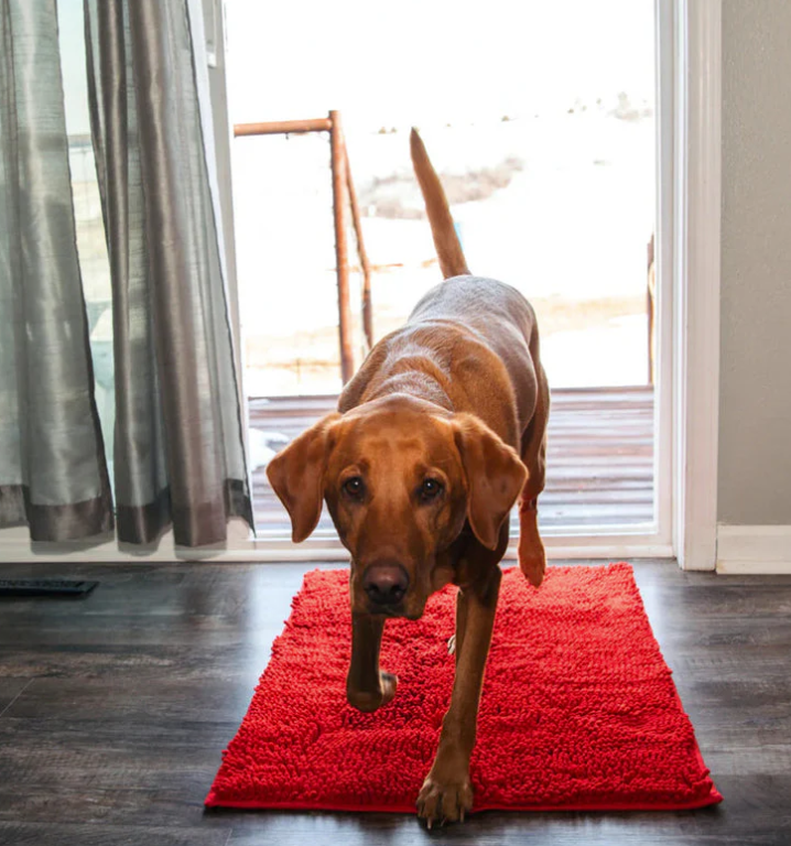 Tapis Microfibre Ultra-Absorbant et Antidérapant Lavable pour Chien - PawDry